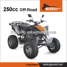 EEC genehmigen 250cc 4 Wheeler atv für Erwachsene